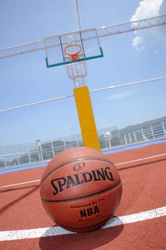 Princess Cruises Royal Class Interior sports.jpg